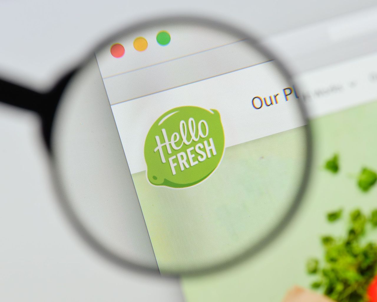 HelloFresh reports plans to expand market, meal options