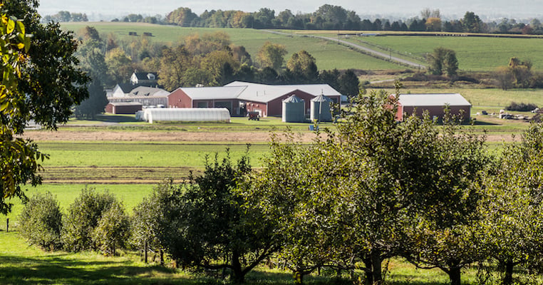 The Giant Company steps up support of organic farming