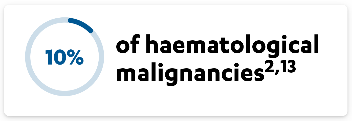 4.-molecule-media-video-player2x