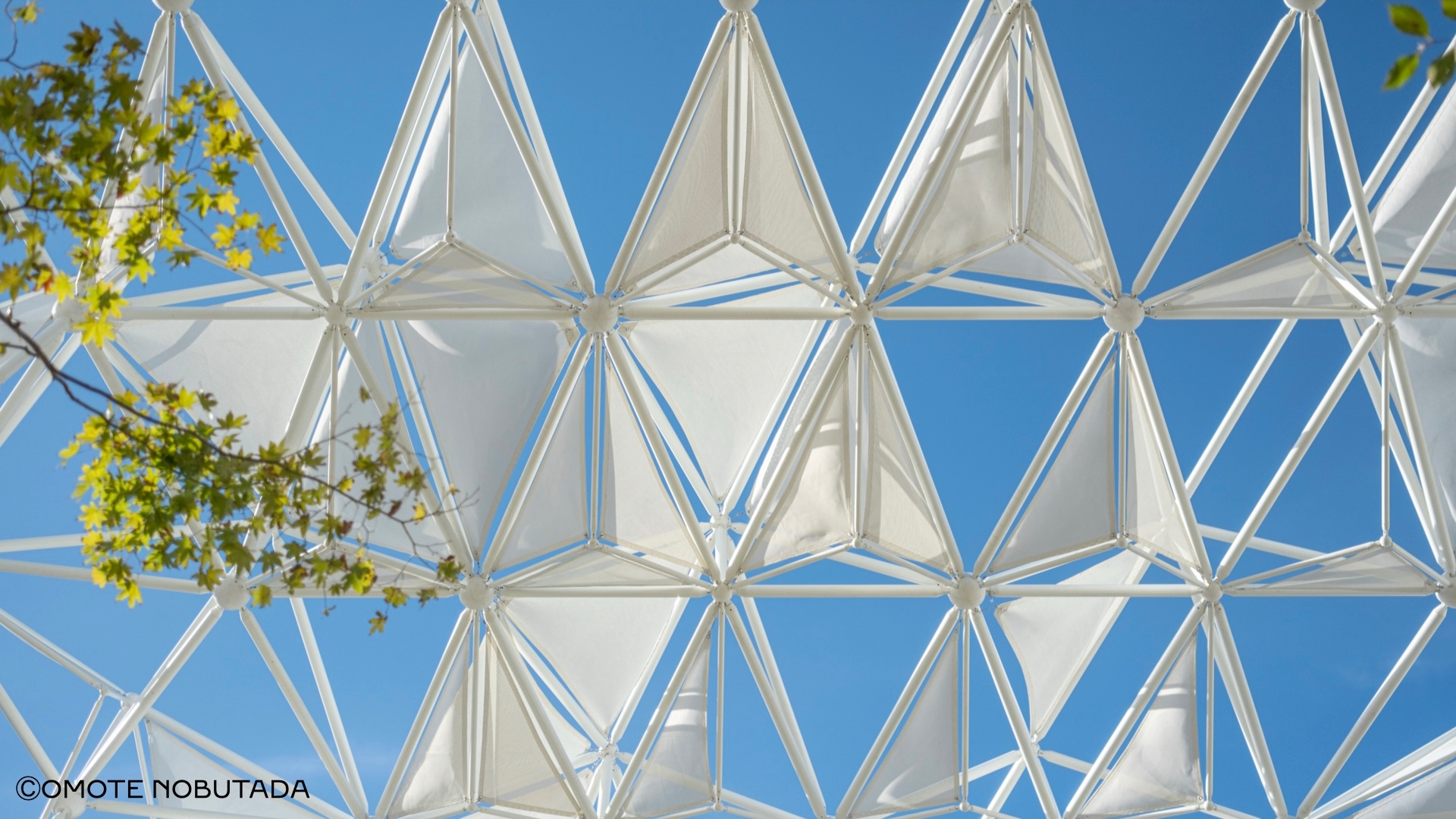 CONTRIBUTOR_PAGE_HEADER_DESKTO