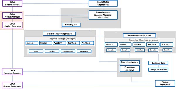 Figure 4.1 Project organizational structure