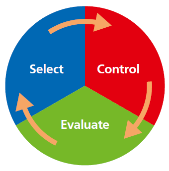 Figure 1.1 IT Investment Management Cycle.png