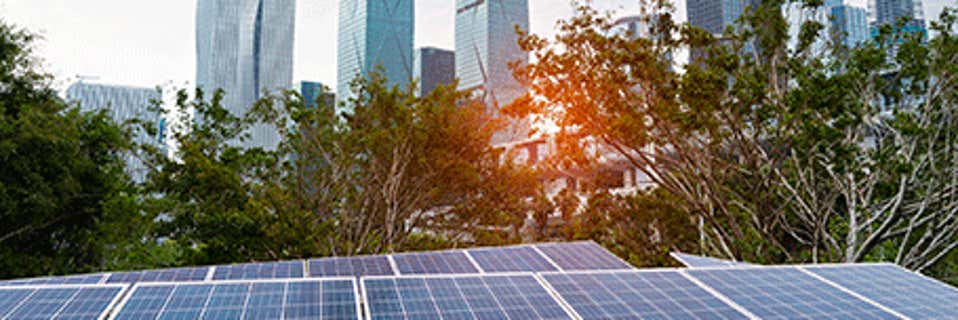 ITIL 4 Digital and IT strategy: creating a sustainable business