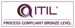 ITIL Software Scheme Broze Level