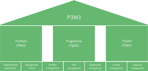 Figure 5.1 The structure of P3M3