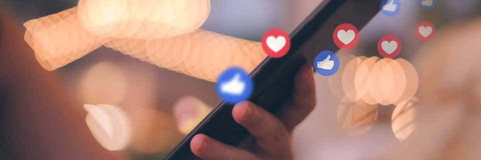 Is social media relevant for programme management?