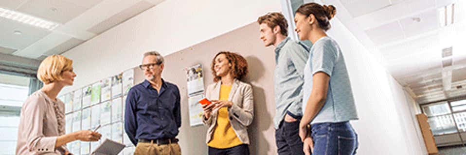 Project management in the USA: How to build a career