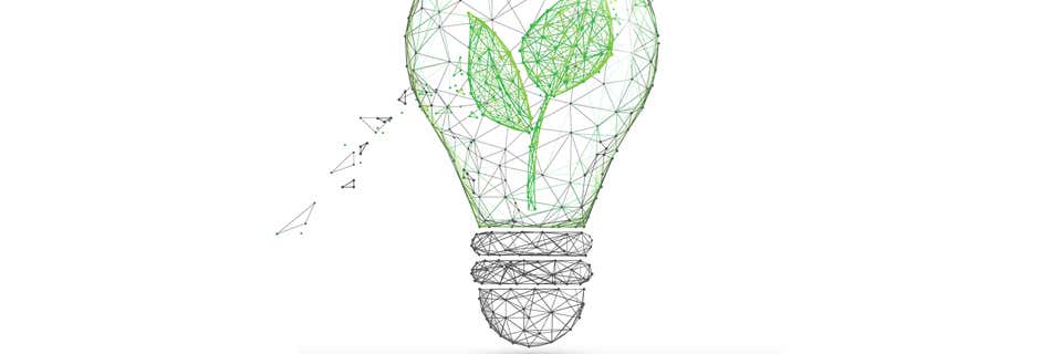 Conservationist or Young ITSM Professional of the Year: A Conversation with Lucy Banks, Global Head of Problem Operations at Barclays
