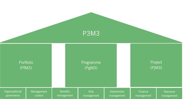 Figure 1.1 P3M3 perspectives