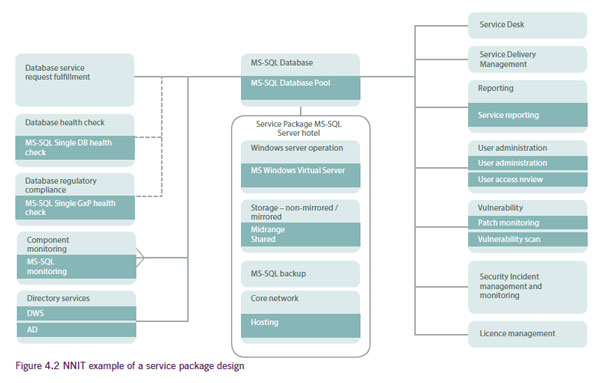 Figure 4.2 NNIT example of a service package design