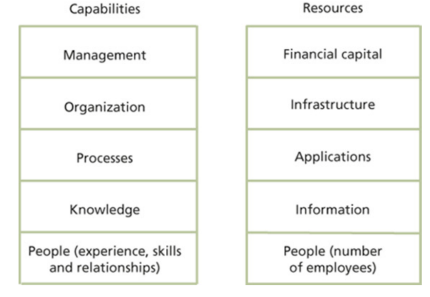 Figure_2.2_Examples_of_capabilities_and_resources.png