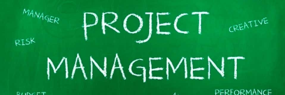 What are the Traits of the Perfect Project Manager?