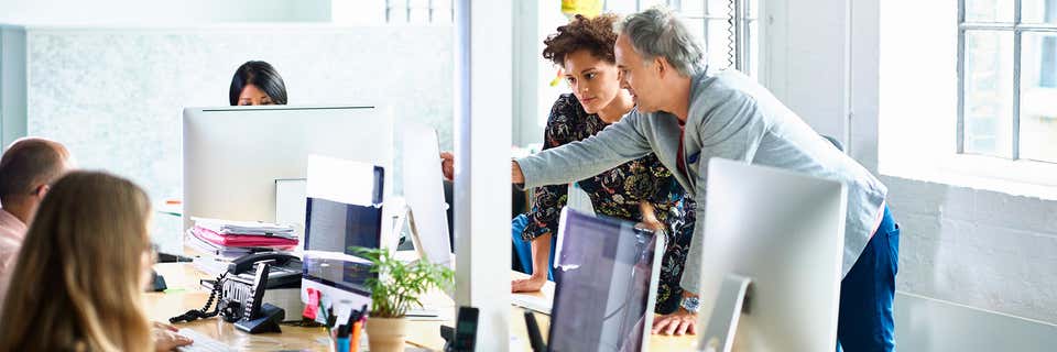Professionalizing project management to support business growth