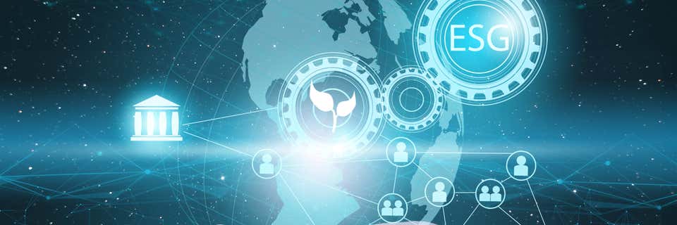 Sustainability in project management
