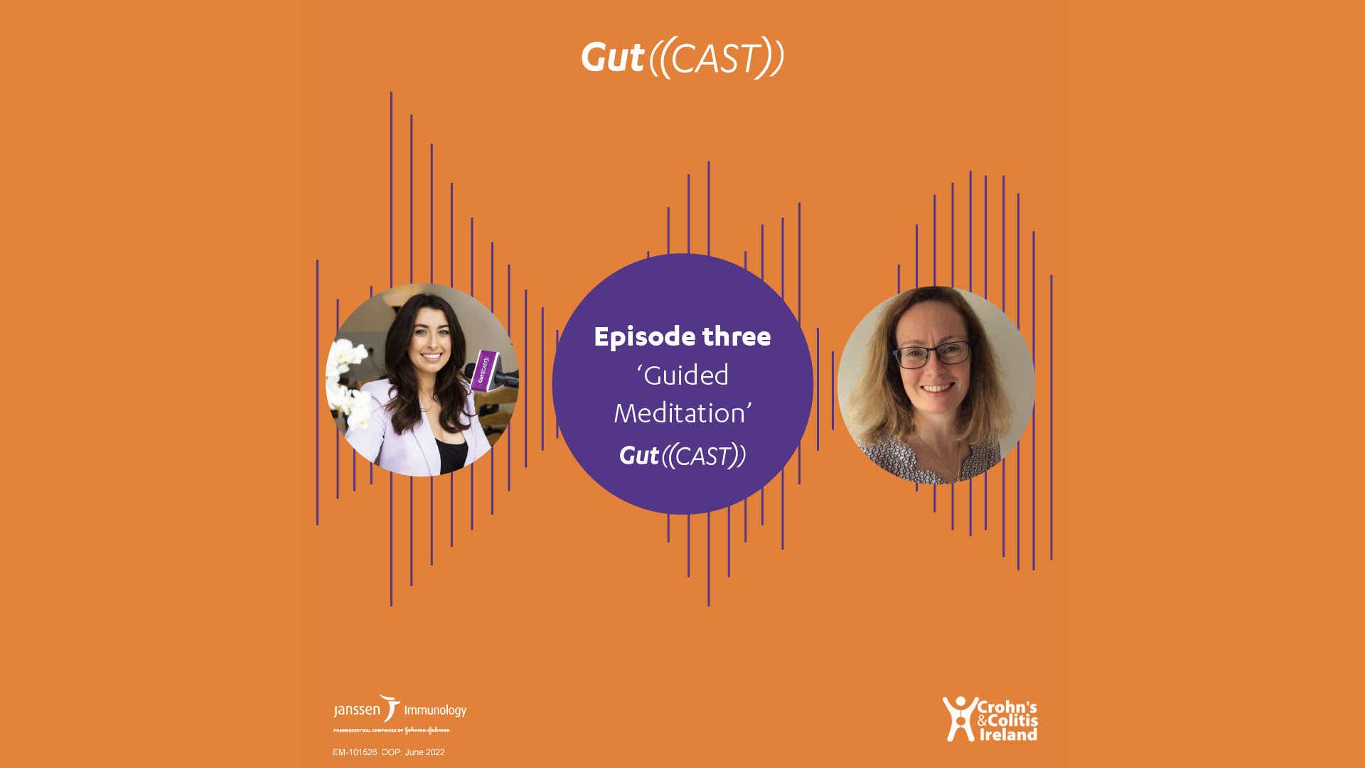 Season two episode three of the Gutcast series named "Guided Meditation".