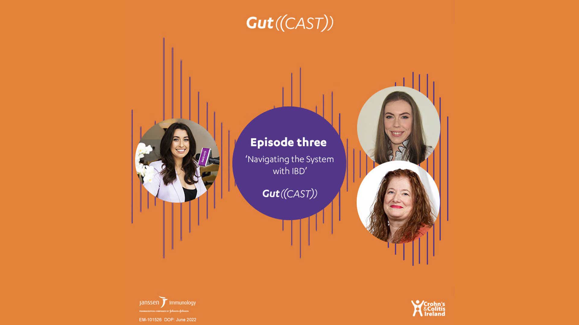 Season three episode three of the podcast series Gutcast named "Navigating the System with IBD"