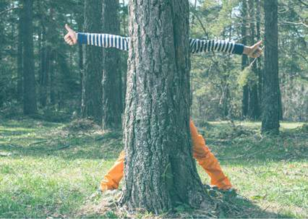 Bakom ett träd står en pojke med utsträckta armar och gör tummen upp