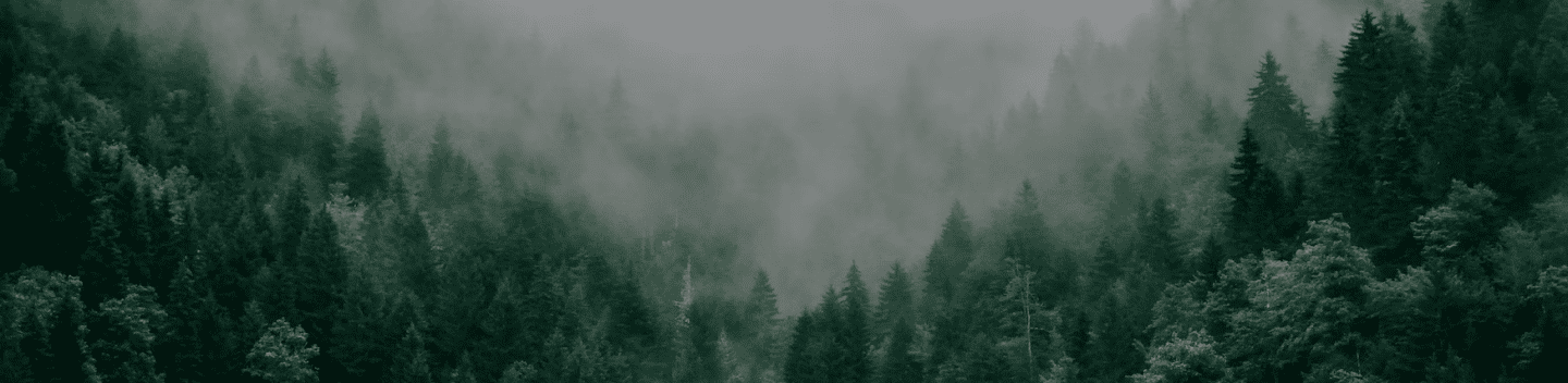 Header Skog i dimma