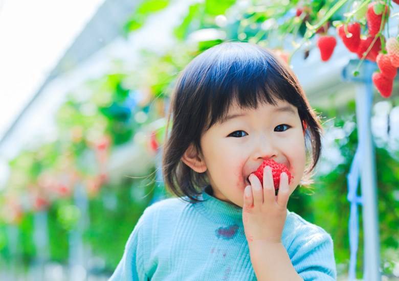 วิธีขจัดคราบน้ำผลไม้