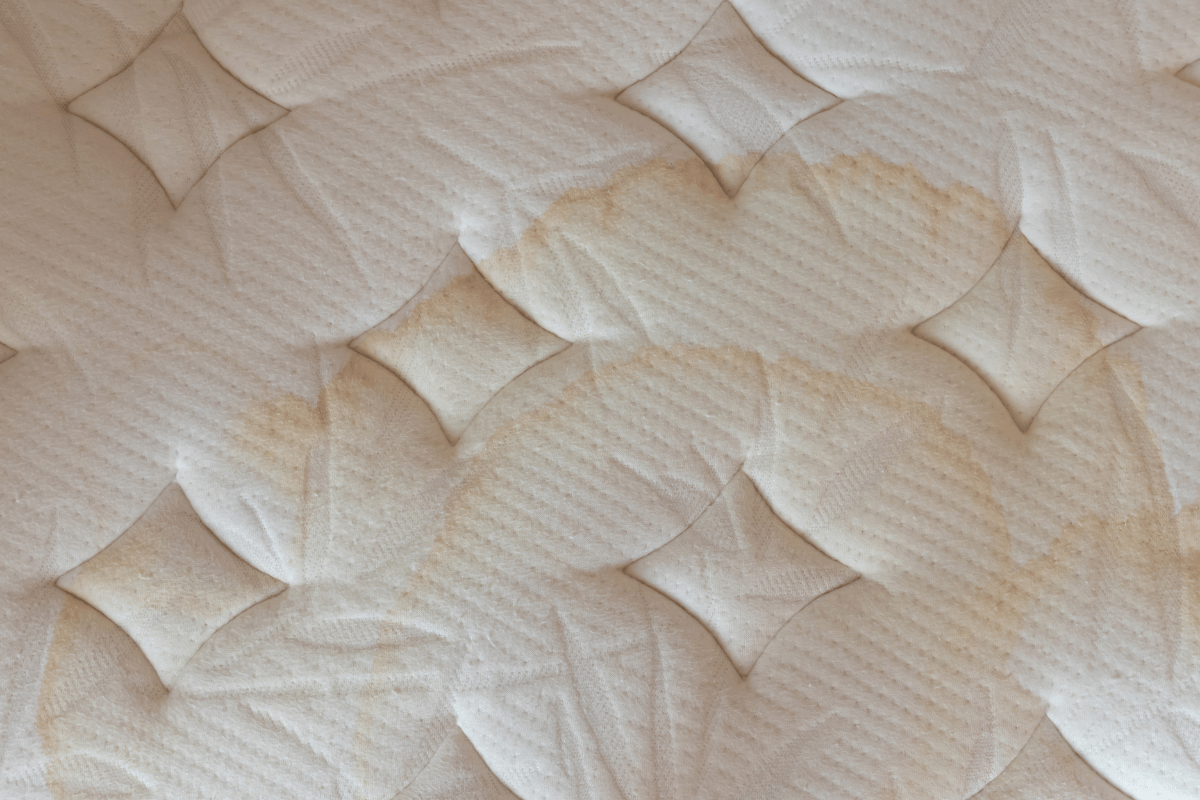 Como quitar manchas de orina seca