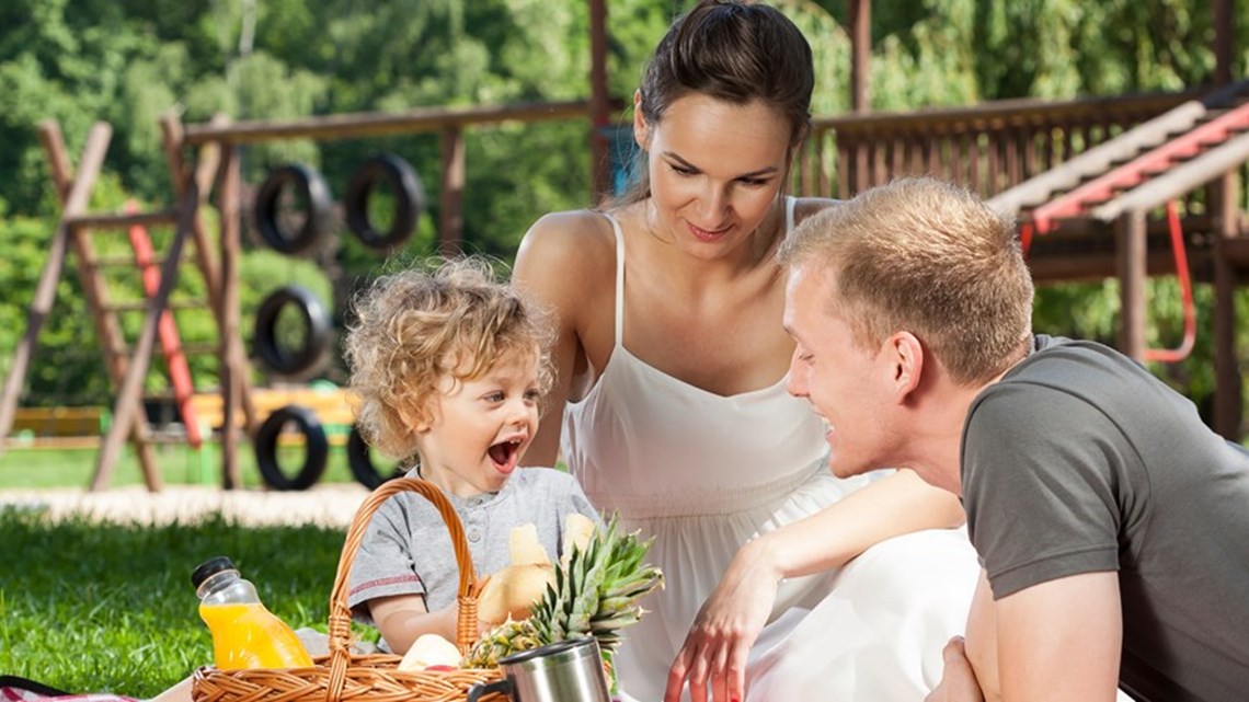 a man, woman, and a child on a picnic in a park