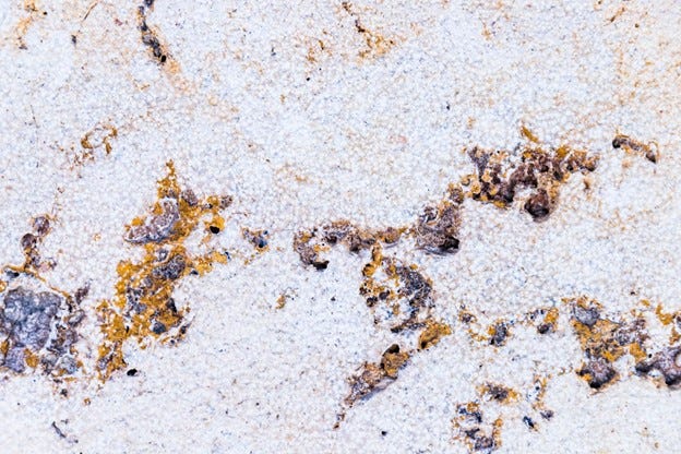 Get Grease Out of Carpet