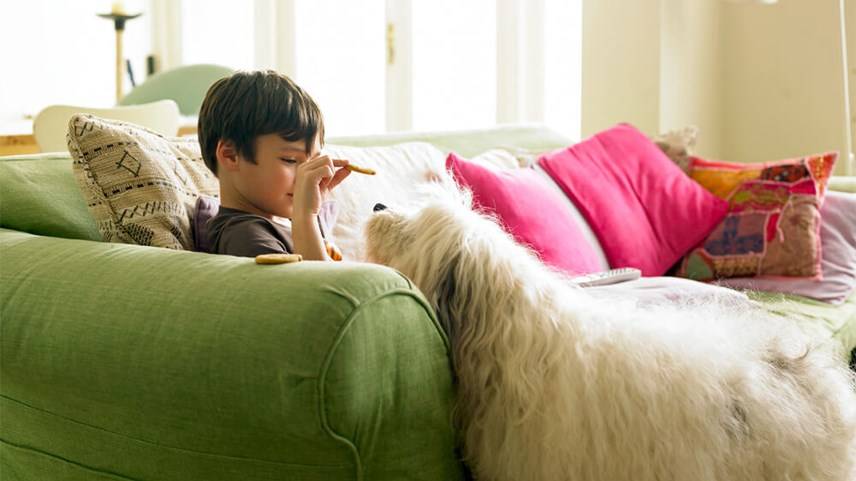 How to remove tea stains from fabric sofas