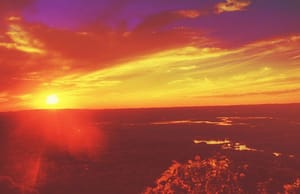 Shed the Light on Your Dark Social Activity Shed the Light on Your Dark Social Activity