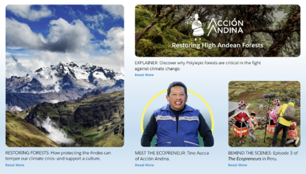Image collage promoting Acción Andina’s forest restoration work, featuring Andean landscapes, Tino Aucca, and scenes from The Ecopreneurs series.