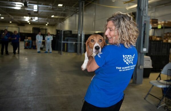 How The Humane Society Makes Emotional Connections Through Print and ...