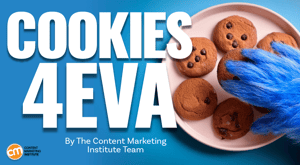 Google Drops Out of the Anti-Cookie Campaign. What’s Next? Google Drops Out of the Anti-Cookie Campaign. What’s Next?