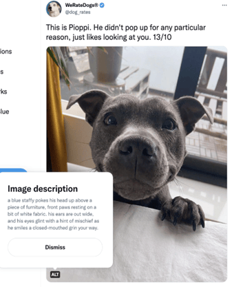 we-rate-dogs-image-description-example.png we-rate-dogs-image-description-example.png