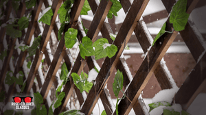 Measuring Content Marketing in the AI Age, Part 2: The Trust Lattice Framework Measuring Content Marketing in the AI Age, Part 2: The Trust Lattice Framework