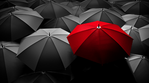 How To Build a Brand That Matters in a Saturated Market How To Build a Brand That Matters in a Saturated Market