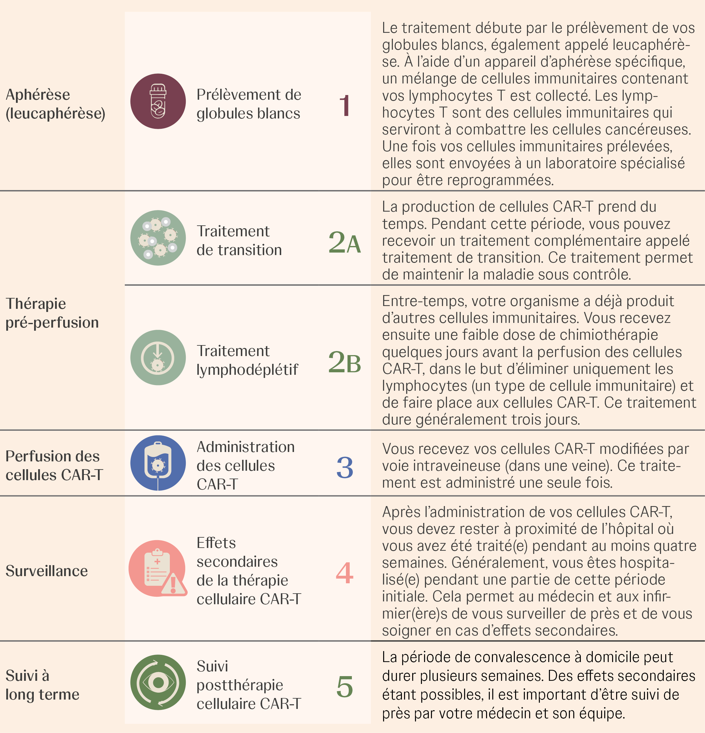 Alles over CAR-T celtherapie FR2