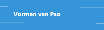 Vormen van Pso