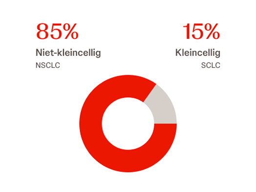 Er zijn twee hoofdtypes longkanker<sup className="footnote existing" key=0>1</sup>