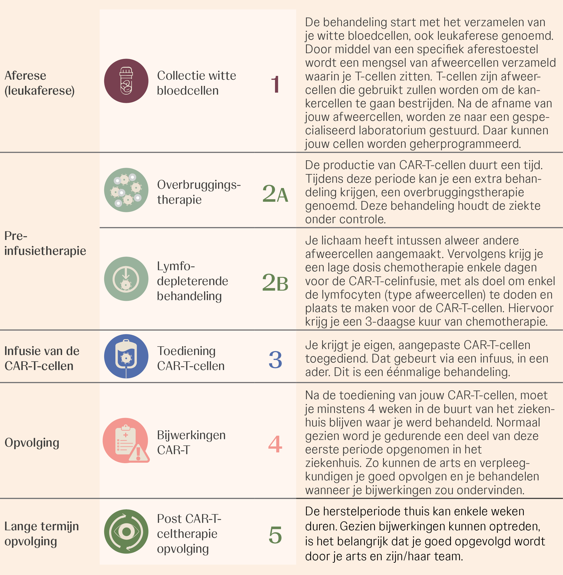 Alles over CAR-T celtherapie NL2