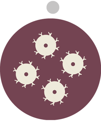 Car-t cell step4