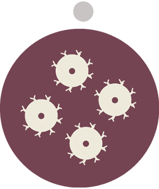Car-t-cell-step4 Car-t cell step4