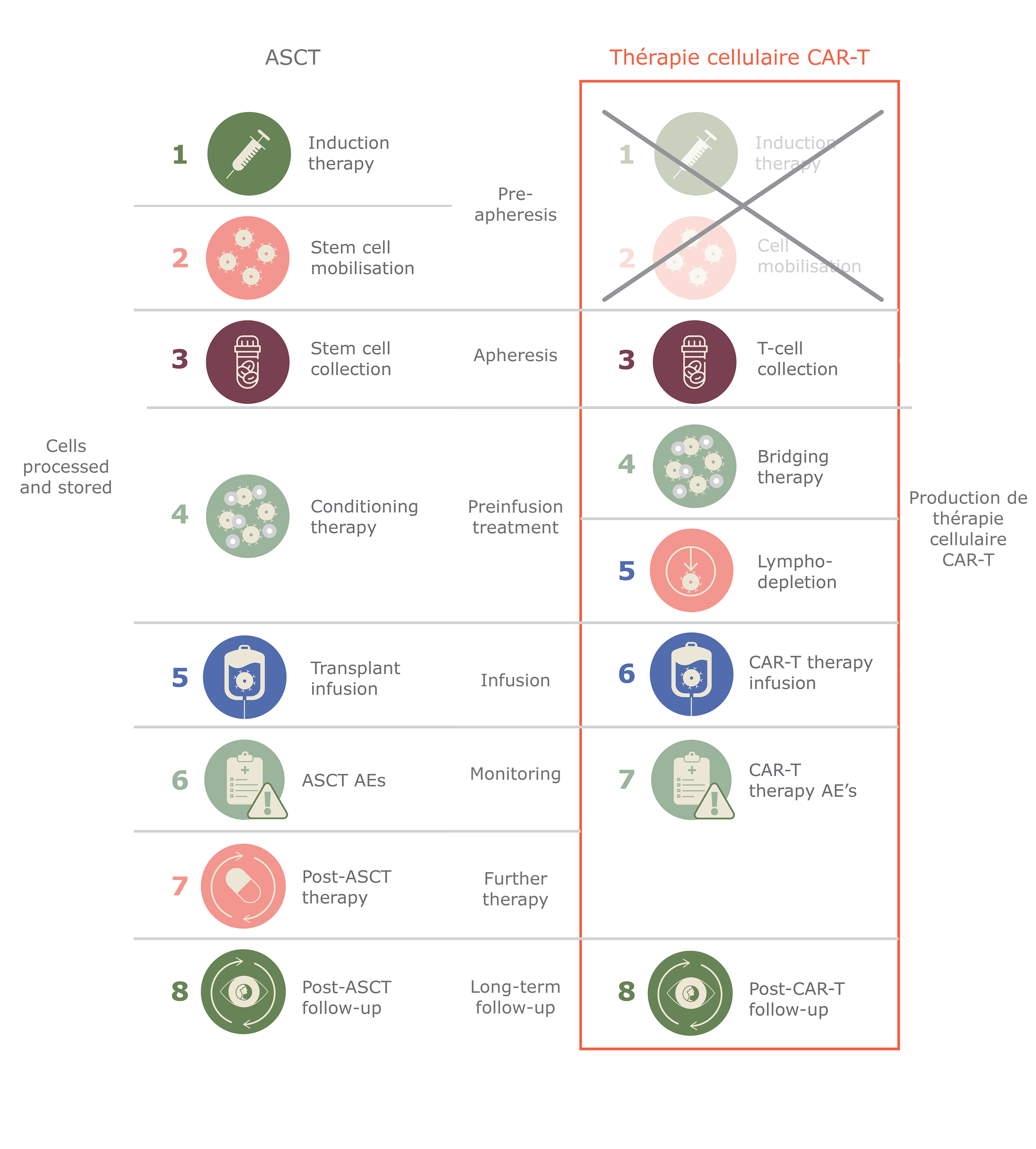 Étape 3 Le traitement lymphodéplétif