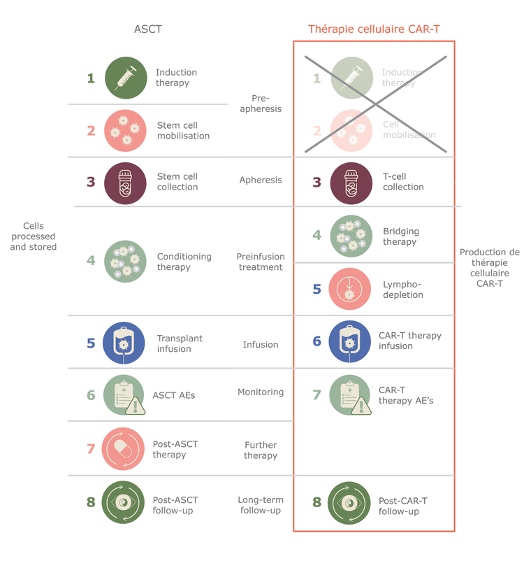 Étape 3 Le traitement lymphodéplétif Étape 3 Le traitement lymphodéplétif