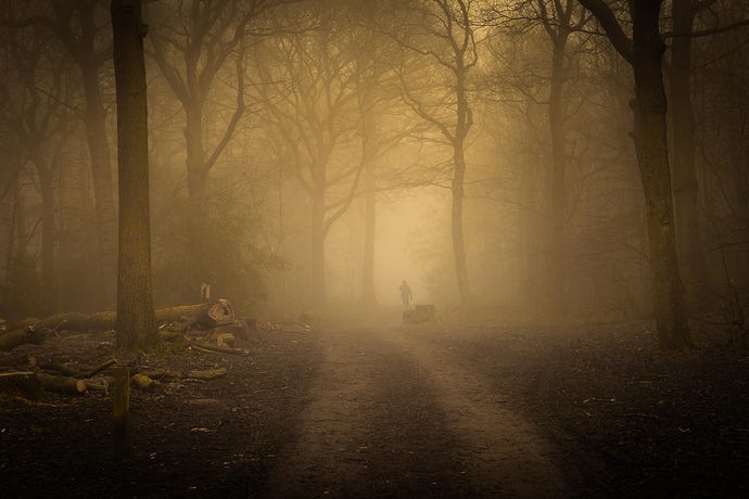 Photo of foggy woods in early morning light, with a dog walker silhouetted on a path in the background