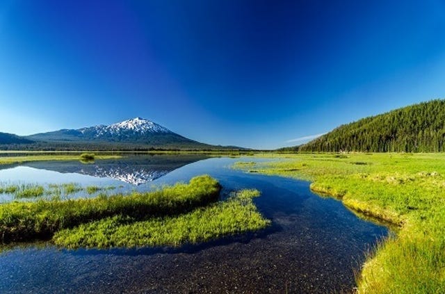 Mount Bachelor being reflected in Sparks Lake as seen from a meadow near Bend, Oregon