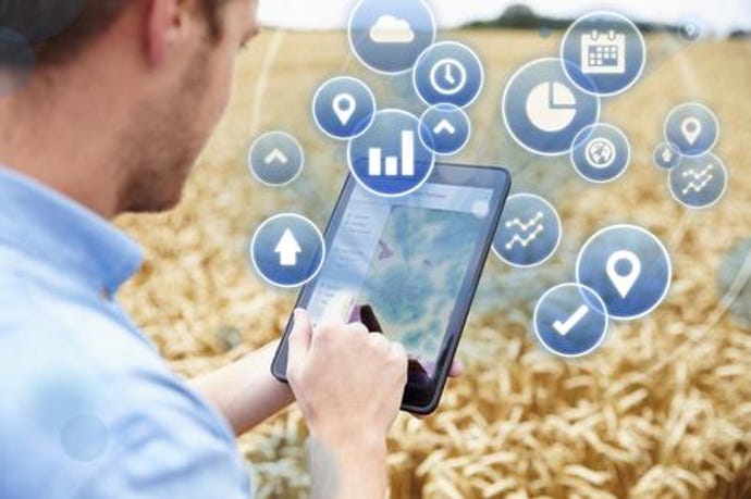 Man looking over farm field entering data into a mobile device