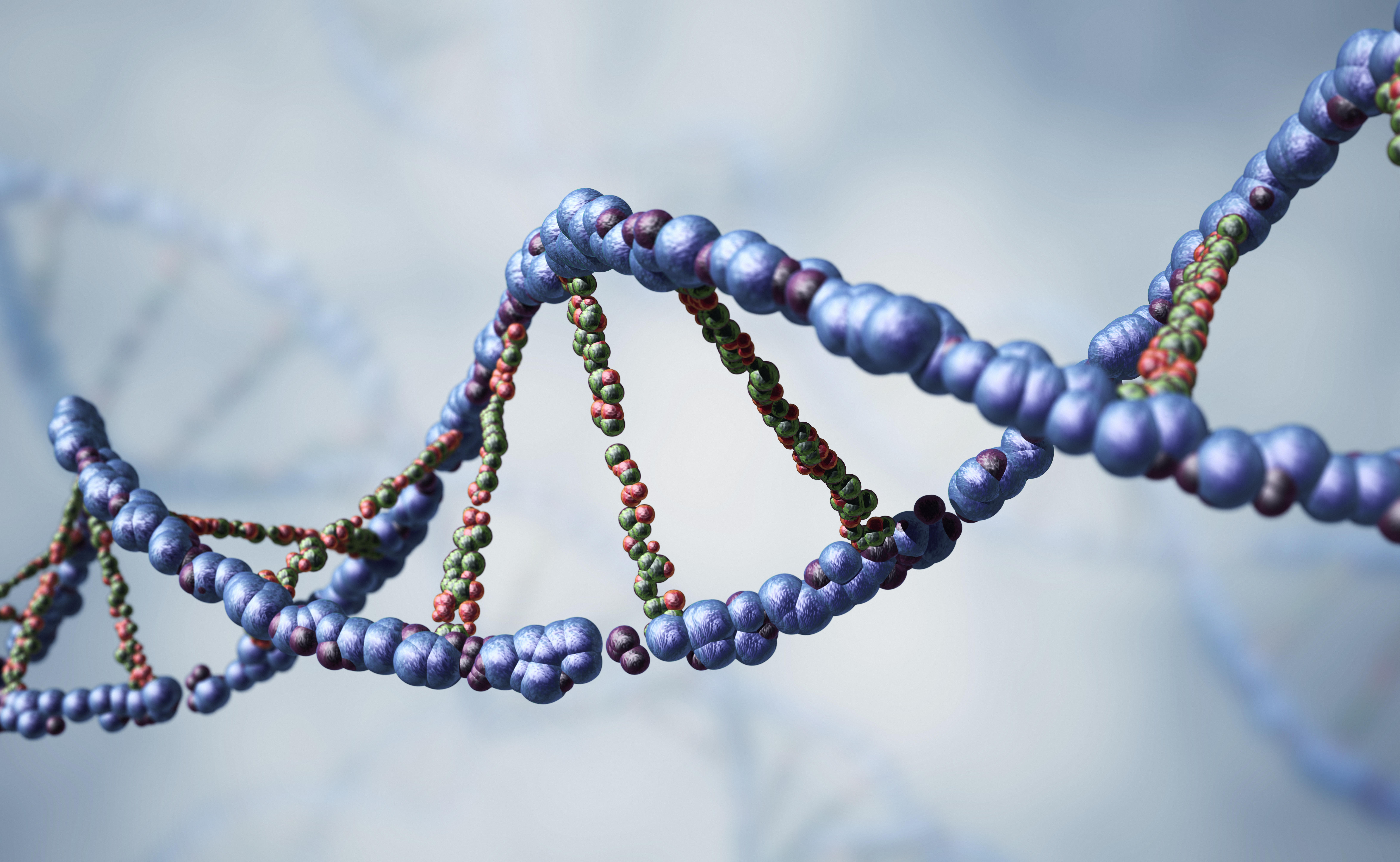 Read more about the article 23andMe Cyberbreach Exposes DNA Knowledge, Potential Household Ties