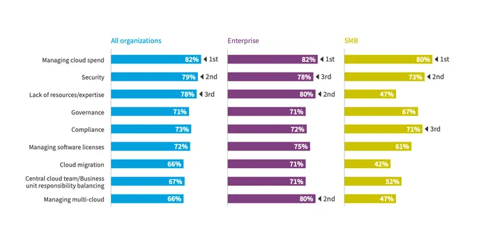 Bar chart of cloud challenges for business