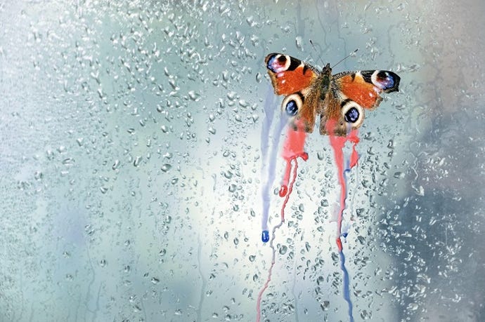 Peacock butterfly with bleeding wings on window pane, metaphor for endangered biodiversity due to environmental destruction