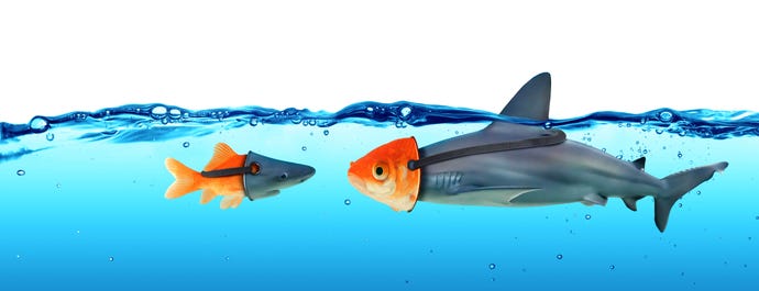 Illustration of a goldfish wearing a shark mask and a shark wearing a goldfish mask