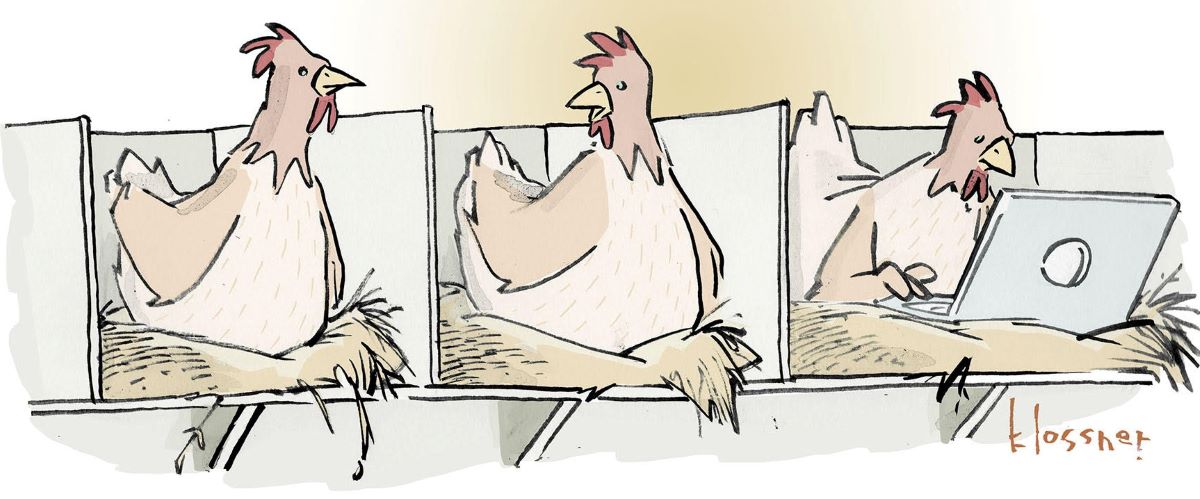 “Name that Edge Toon: Spring Chickens” can be rewritten as “Identify the Edge Toon: Spring Chickens.”